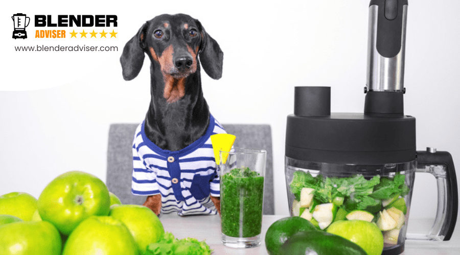 Can You Use a Blender to Make Homemade Pet Food?