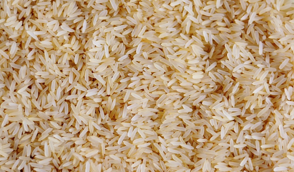 grains of rice