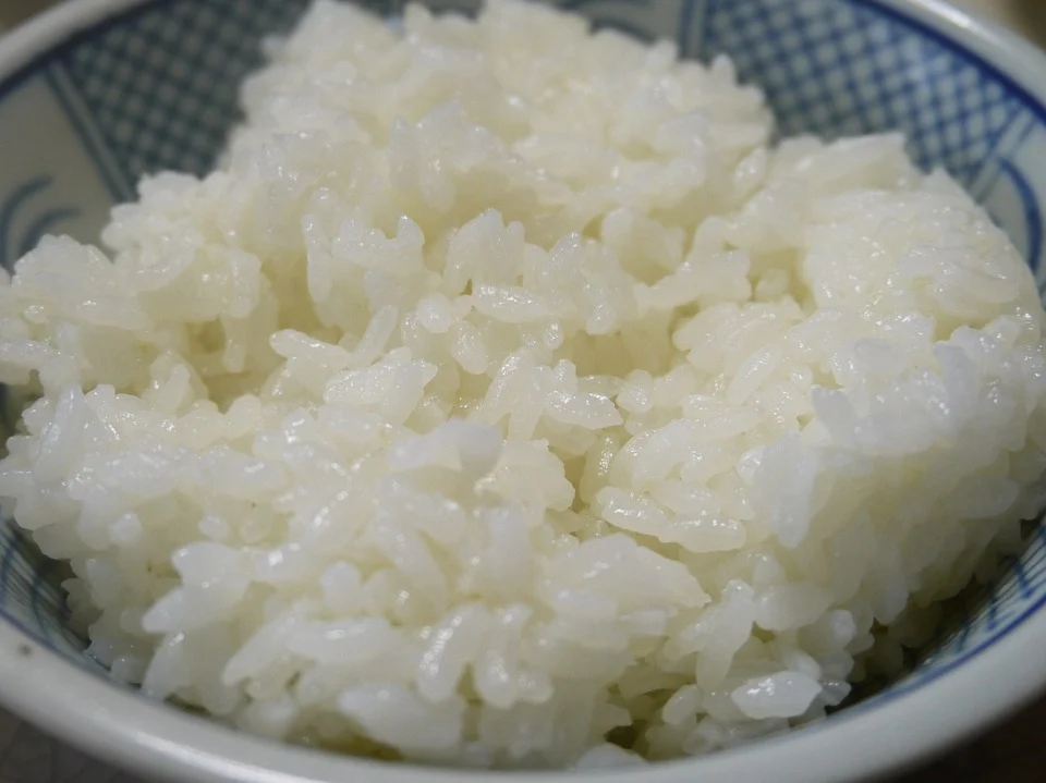 bowl of rice