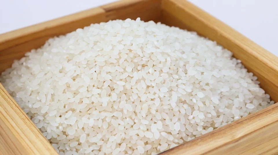 polished rice
