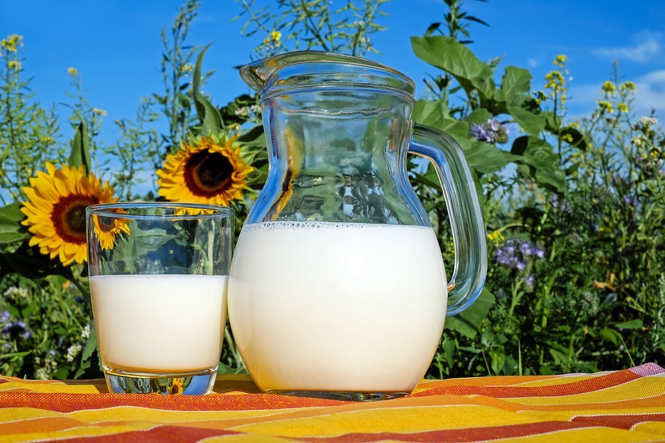 a jug and a glass full of milk kept outdoors