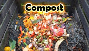 Compost