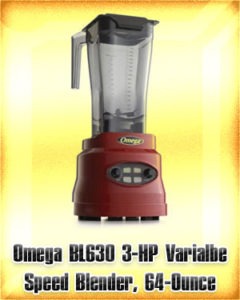 Omega BL630 3 HP Varialbe Speed Blender 64 Ounce