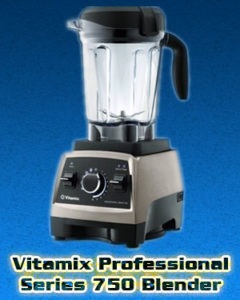 Vitamix Professional Series 750 Blender