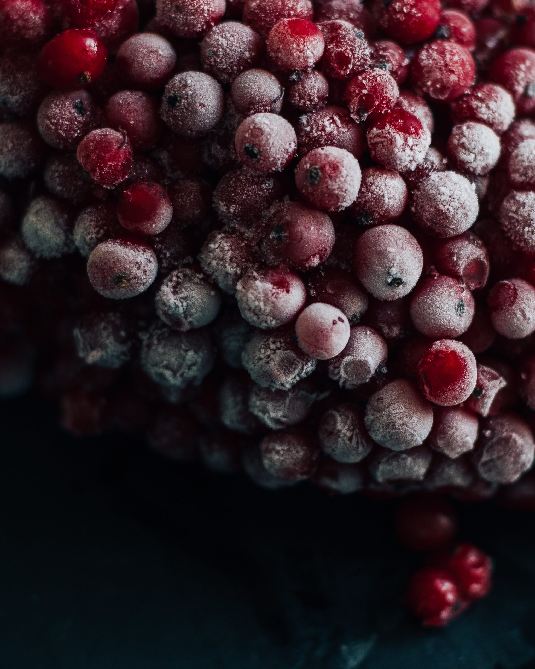 frozen red berries